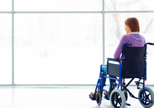 Bedensel Engelliler Destek Eğitim Programı Bedensel Engelliler Destek Eğitim Programı