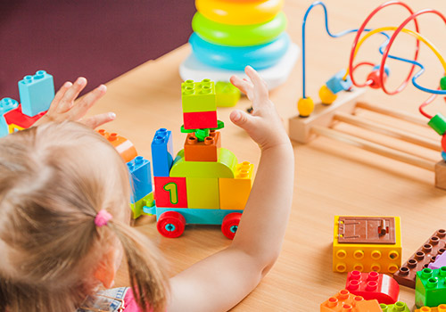 Zihinsel Engelliler Destek Eğitim Programı Zihinsel Engelliler Destek Eğitim Programı